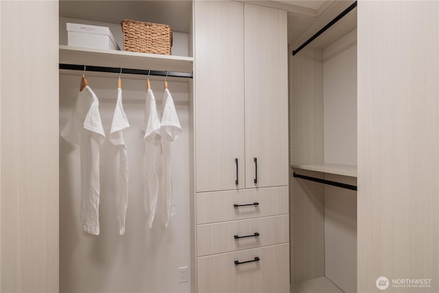 view of walk in closet