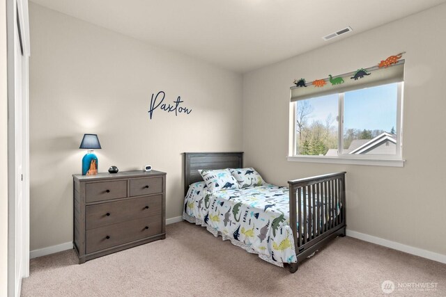 10916 Bay Meadows Ln, Burlington, WA 98233 - photo 16