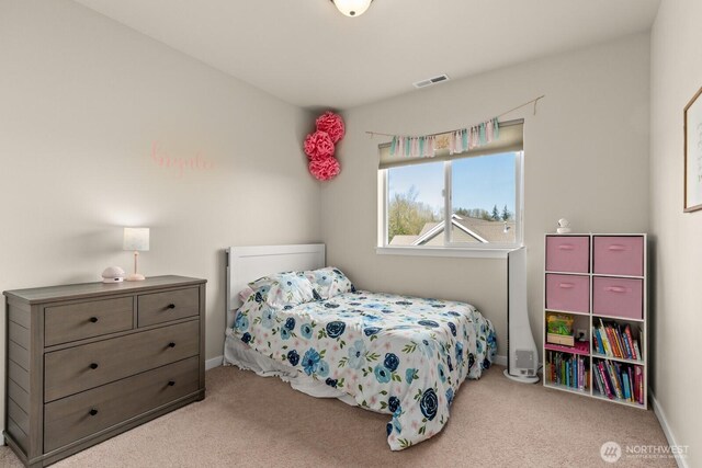 10916 Bay Meadows Ln, Burlington, WA 98233 - photo 19