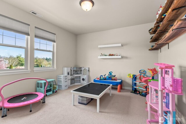 10916 Bay Meadows Ln, Burlington, WA 98233 - photo 20