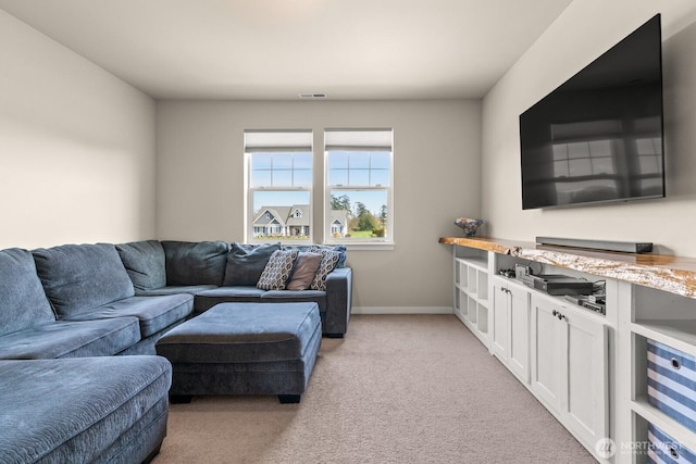 10916 Bay Meadows Ln, Burlington, WA 98233 - photo 21