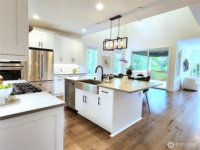kitchen with stainless steel appliances, an inviting chandelier, a sink, and wood finished floors