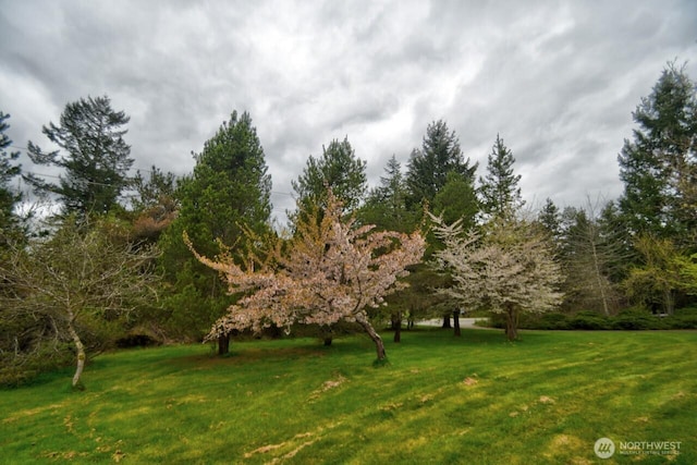 11202 Littlerock Rd SW, Olympia, WA 98512 - view of grassy yard