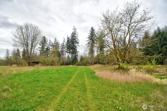 11202 Littlerock Rd SW, Olympia, WA 98512 - view of nature