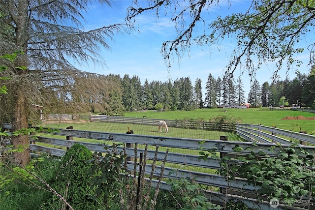 115 Kakela Rd, Winlock, WA 98596 - view of yard with a view of rural / pastoral area