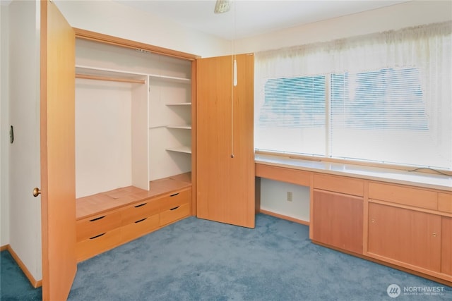 115 Kakela Rd, Winlock, WA 98596 - view of closet