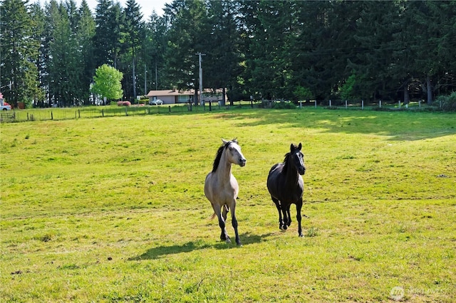 115 Kakela Rd, Winlock, WA 98596 - view of community