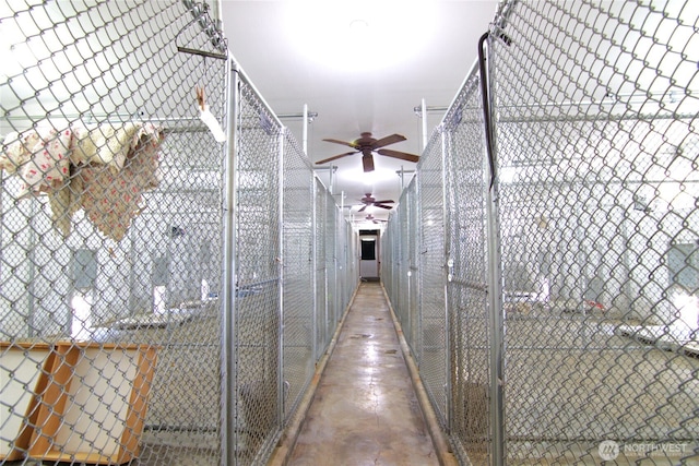 115 Kakela Rd, Winlock, WA 98596 - storage with a ceiling fan