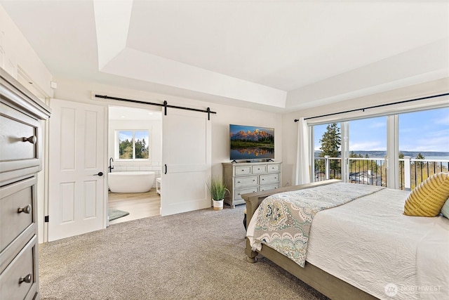 carpeted bedroom featuring multiple windows, a raised ceiling, connected bathroom, and a barn door