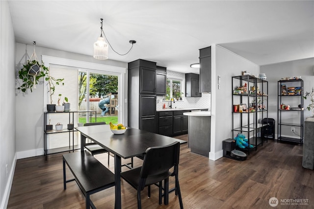 dining room with baseboards, plenty of natural light, and dark wood finished floors