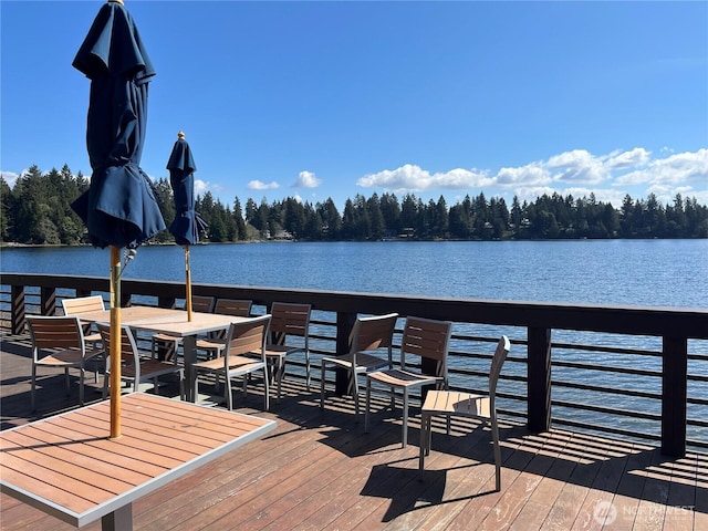 11712 114th Avenue Ct, Anderson Island, WA 98303 - dock area featuring a water view