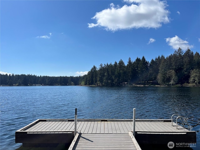 11712 114th Avenue Ct, Anderson Island, WA 98303 - dock area with a water view and a view of trees