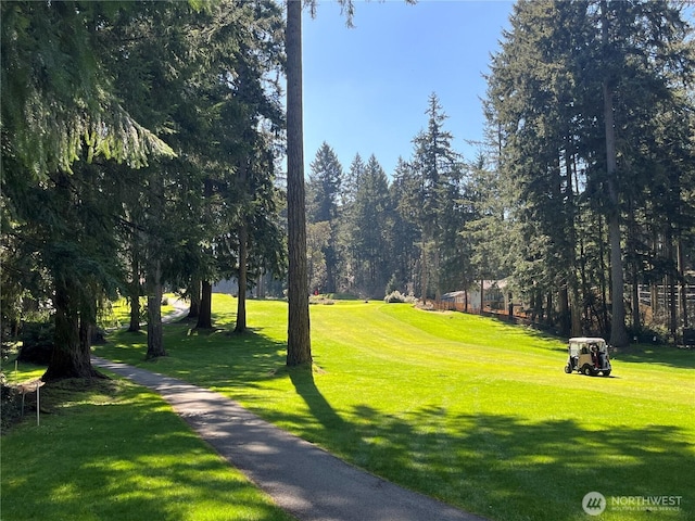 11712 114th Avenue Ct, Anderson Island, WA 98303 - view of home's community featuring a lawn