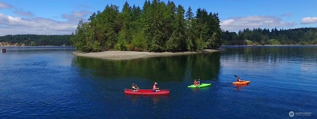 11712 114th Avenue Ct, Anderson Island, WA 98303 - property view of water featuring a forest view