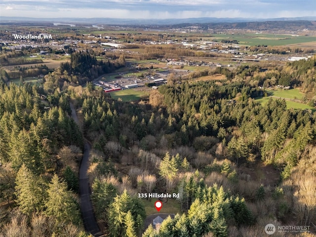 335 Hillsdale Dr, Woodland, WA 98674 - photo 38