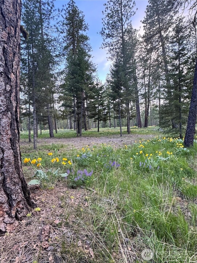 331 Wanawish Loop, Cle Elum, WA 98922