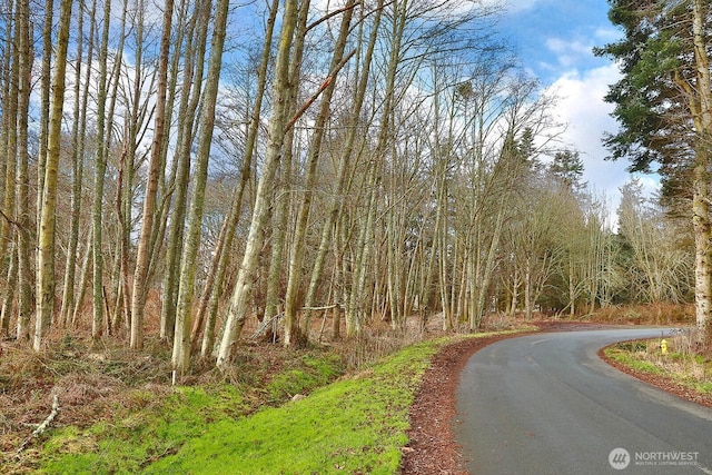 0 Leahy Dr, Coupeville, WA 98239 - photo 1
