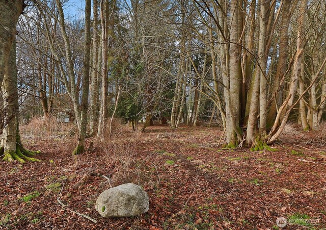 0 Leahy Dr, Coupeville, WA 98239 - photo 4