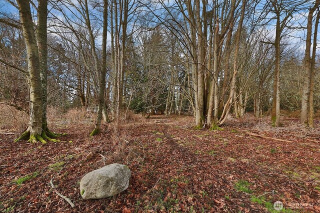 0 Leahy Dr, Coupeville, WA 98239 - photo 5