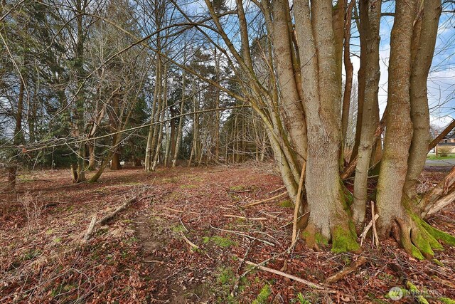 0 Leahy Dr, Coupeville, WA 98239 - photo 6