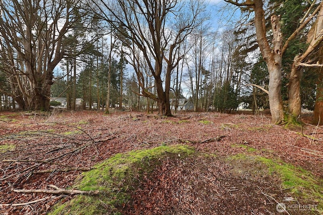 0 Leahy Dr, Coupeville, WA 98239 - photo 9