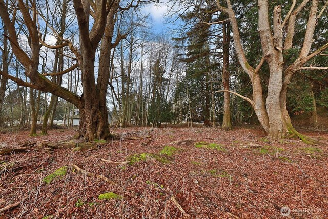 0 Leahy Dr, Coupeville, WA 98239 - photo 10