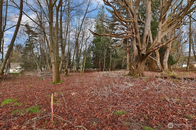 0 Leahy Dr, Coupeville, WA 98239 - photo 11