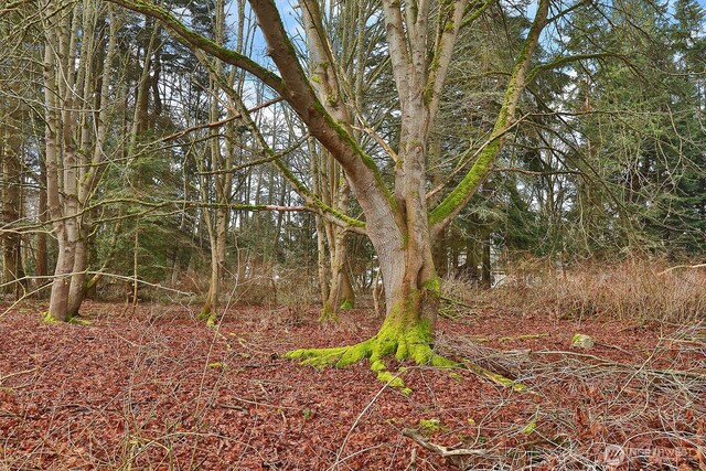 0 Leahy Dr, Coupeville, WA 98239 - photo 18