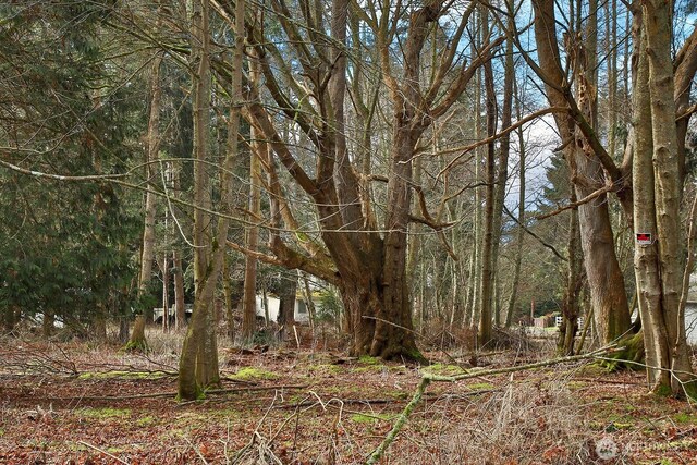 0 Leahy Dr, Coupeville, WA 98239 - photo 22