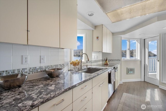 kitchen featuring wood finished floors, a sink, dark stone countertops, and tasteful backsplash