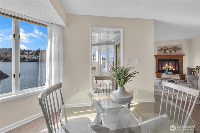 dining space featuring a glass covered fireplace, baseboards, a water view, and a healthy amount of sunlight
