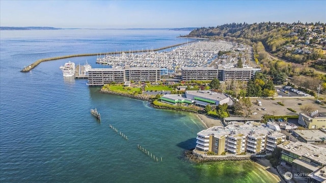 aerial view with a water view