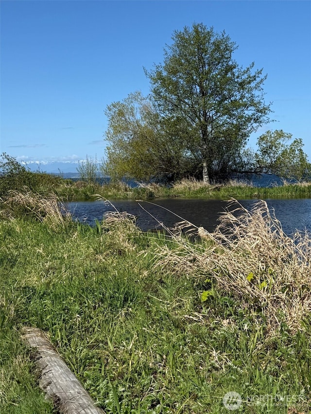 view of yard with a water view