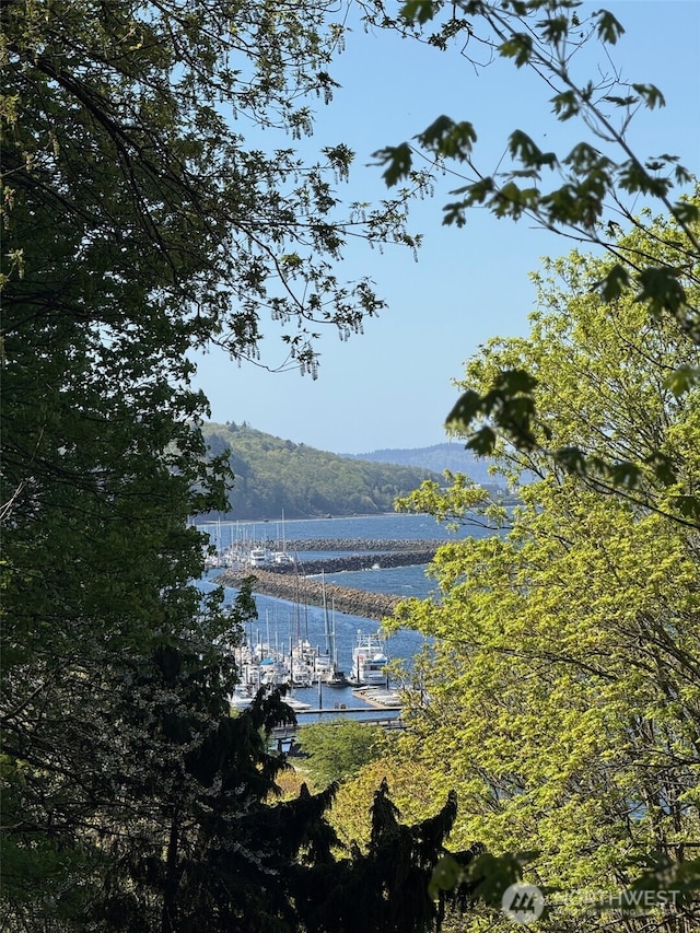 water view