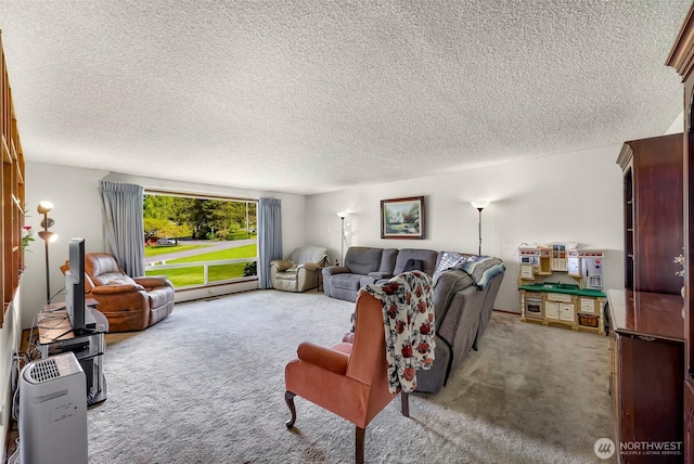 9652 Ronald Dr, Blaine, WA 98230 - living area with carpet flooring and a textured ceiling