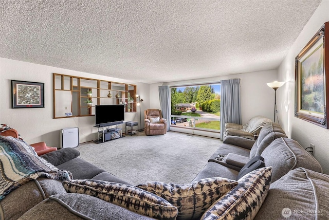 9652 Ronald Dr, Blaine, WA 98230 - living area featuring carpet flooring and a textured ceiling