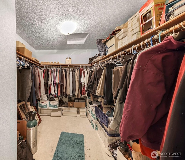 9652 Ronald Dr, Blaine, WA 98230 - view of walk in closet
