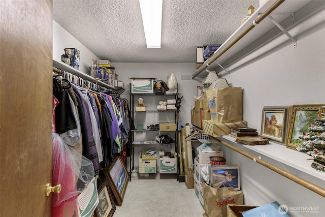 9652 Ronald Dr, Blaine, WA 98230 - spacious closet featuring carpet floors