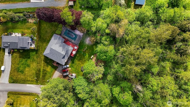 9652 Ronald Dr, Blaine, WA 98230 - bird's eye view