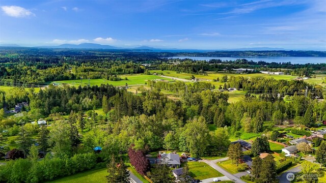 9652 Ronald Dr, Blaine, WA 98230 - bird's eye view featuring a view of trees and a water and mountain view