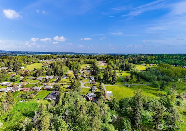 9652 Ronald Dr, Blaine, WA 98230 - aerial view featuring a residential view