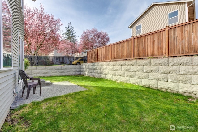 view of yard featuring a patio area and a fenced backyard