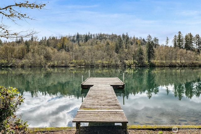 137 Lake Rd, Silver Creek, WA 98585 - photo 26