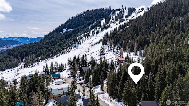 201 Innsbruck Dr, Snoqualmie Pass, WA 98068 - photo 1