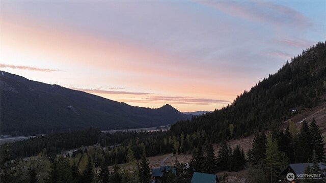 201 Innsbruck Dr, Snoqualmie Pass, WA 98068 - photo 3