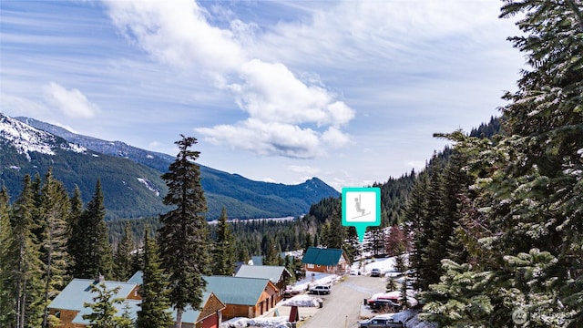 201 Innsbruck Dr, Snoqualmie Pass, WA 98068 - photo 5