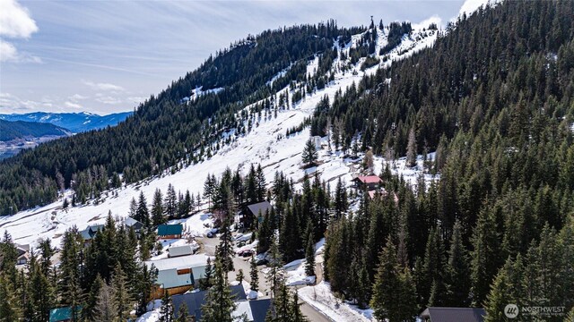201 Innsbruck Dr, Snoqualmie Pass, WA 98068 - photo 6