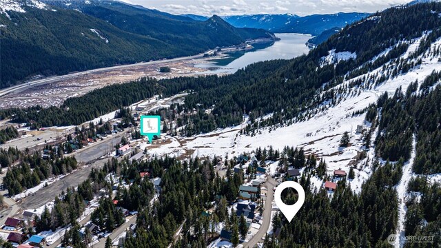 201 Innsbruck Dr, Snoqualmie Pass, WA 98068 - photo 8