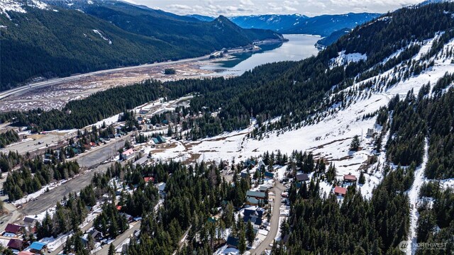 201 Innsbruck Dr, Snoqualmie Pass, WA 98068 - photo 9