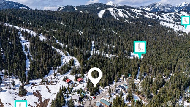 201 Innsbruck Dr, Snoqualmie Pass, WA 98068 - photo 10